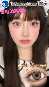 【0~-6.00】⚡จัดส่งที่รวดเร็ว⚡UYAAI x FRESHLADY คอนแทคเลนส์สายตาสั้น Aoki Grey/Brown เลนส์สไตล์ประจำวัน Fashion Lens คอนแทคเลนส์สี กรองแสงคอนเทค ธรรมชาติ 14 มม. 2 ชิ้น ต่อคู่