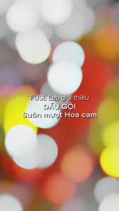 Dầu gội FUSE Lab Suôn mượt Hoa cam 500g - Chăm sóc và cải thiện tóc hư tổn - Ha Chi JSC