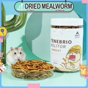 Rennas Hamsters Treats and Snack Hamsters Food Mix Syrian Food For Hamsters Bird Food Treats For Pet