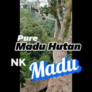 Madu Hutan Liar Asli Sumbawa Bima Isi 1 LITER / 1000 ML ( Raw Honey )