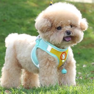 Small Dog Vest-Style No-Choke Leash
