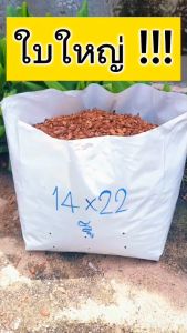 ถุงเพาะชำสีขาว ขนาด 14x22 นิ้ว 1กก. ไม่เจาะรู