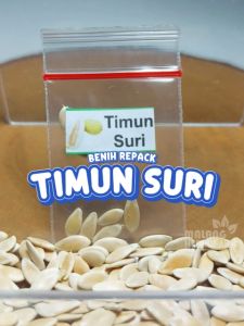 Benih Timun Suri Unggulan & Biji Bibit Hydroponik