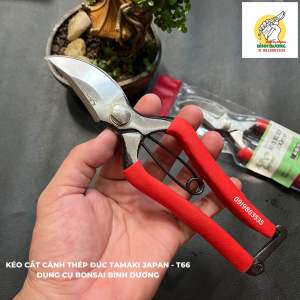 KÉO CẮT CÀNH THÉP ĐÚC TAMAKI JAPAN - T66 - KÉO CẮT CÀNH CÂY CẢNH BONSAI THÉP ĐÚC JAPAN