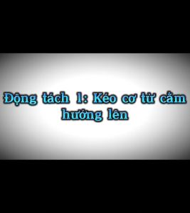 Dụng cụ mát xa cạo gió sừng tim làm mịn da mặt và toàn thân chống lão hóa cho da