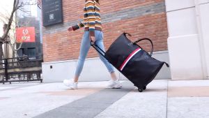 Tas Travel Trolley JX 523: Fitur & Keunggulan