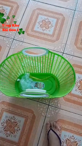 Giỏ Xách Đi Chợ Duy Tân Truyền Thống - Giao Màu Ngẫu Nhiên