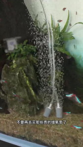 Rechargeable Oxygen Aquariums Air Pumps Compacts Fish Tanks Aerator for Indoor Outdoor Fish Family