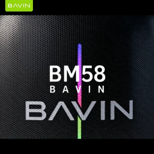 BAVIN BM58 Hi-Res Audio 250W Portable Bass Party Bluetooth Karaoke Speaker 12000mAh w/Wireless Microphone+RGB LED Lights