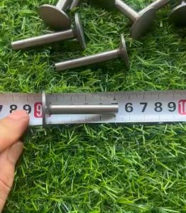 2 Chiếc Nấm SuPap Nhỏ Đẩy Đúa Máy Phát Điện 186F- 188F và 190F Nấm Xu Páp Máy Cày186F đến 192F 1 Đôi (Kho 6201)