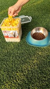 PetLovers Premium Freeze-Dried Cat Food - Chicken Liver & Yolk Blend Natural Weight Management 650g