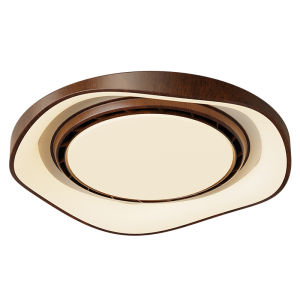 DGY | Bladeless Invisible Ceiling Fan Light