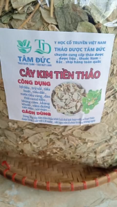 1kg cây kim tiền thảo sấy khô