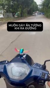 Mô Hình Chim Bay Chạy Bằng Gió Trang Trí Xe Máy Ô Tô - Phụ Kiện Decor Xe Độc Đáo Cánh Chim Tự Quay Đồ Chơi Gắn Xe Giá Rẻ