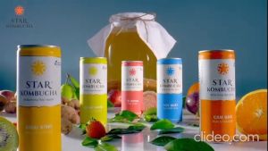 Minuman Kaleng Teh Fermentasi Impor Vietnam Star Kombucha Natural Fermented Tea 250 x 5 Ml Original Strawberry Sunshine Blueberry Bliss Mellow Mango Pomegranate Purity Hibiscus Ginger Pink Guava Amazing Apricot Pure Passion Fruit Golden Ginger