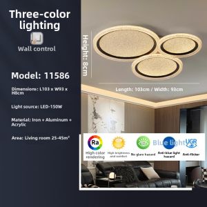 DGY | Minimalist Luxurious Ceiling Light