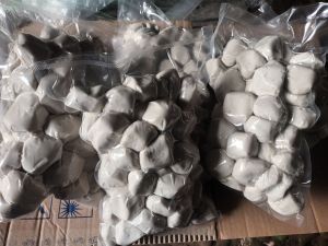 kataji vakum isi 50butir kekuatan produk 10hari di perjalnan