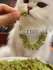 [Hỏa tốc]Bánh thưởng cá MIX đủ vị cho chó mèo - Snack cá dinh dưỡng sạch răng hỗ trợ túi búi lông