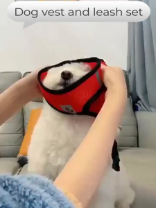 Pet Leash Dog Harness Leash Mesh Collar Leash Strap Complete Set Pet Adjustable Leash Belt Traction Rope