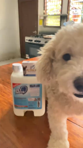 PARVO PET PROTECT PET DISINFECTANT AND DEODORIZER WITH ANTI TICK AND FLEA CONCENTRATED FORMULA PET ODORCONTROL