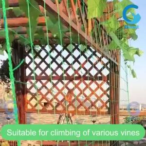 2M X 100M Jaring Rambatan Tanaman Kebun Trellis Netting Green Net Farm Climbing Net Anggur Jaring