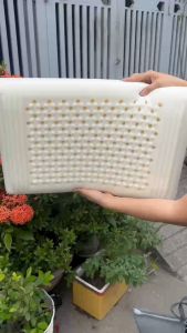 Ruột Gối Nằm Cao Su Thiên Nhiên Chống Đau Cổ Vai Gáy Dành Cho Người Lớn