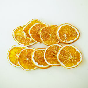 Christmas Little Acorns ACORN Natural Plant Preserved Fresh Flower Fruit Handmade DIY Photo Frame Wax Tag Decoration Props