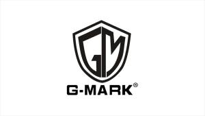 Wireless Microphone G-MARK G210V Professional 2 Channels Handheld Karaoke Mic For Party Meeting Church Show Home