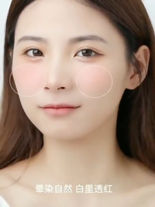 Stippling Flat Head Blush Brush | Contour & Bronzer Makeup Brush for Powder & Foundation | Berus Mekap 腮红刷 CHIC&CO.