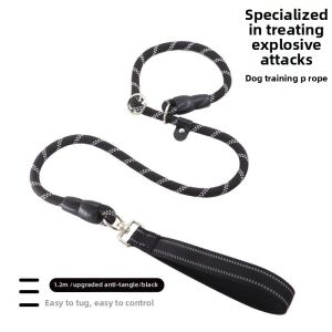 Blast Control P-Chain Dog Leash