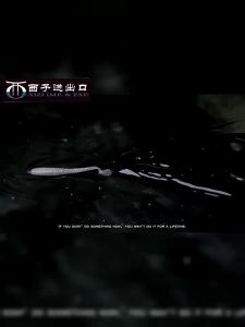 BassTalker | Mồi Nhựa Mềm MINI T-Tail