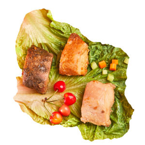 Healthy Spicy Chicken Breast Snack Quick Meal Low Fat Nutritious Food for Students Satiety Independent Packaging from Nanyang Henan