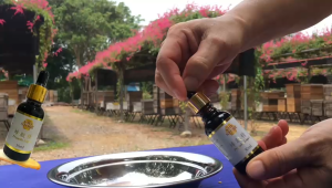 YMY Store Green Propolis/Propolis Liquid /. Health Supplement Giant B 10ML-30ML