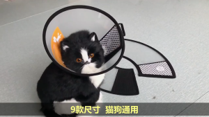 KP ปลอกคอกันเลีย ลำโพงกันเลีย คอลล่ากันเลีย สัตว์เลี้ยง คอลล่าสุนัข คอลล่าแมว ลำโพงหมา คอลล่าหมา ปลอกคอกันเลียสุนัข