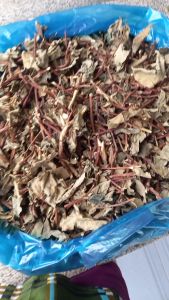 Cây Lá Hà Thủ Ô Khô / 1kg