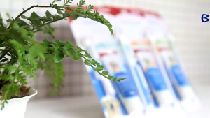 【SG】Bioline Pet Toothbrush Set Oral cleaning supplies to eliminate bad breath Edible toothpaste Cat Toothbrush