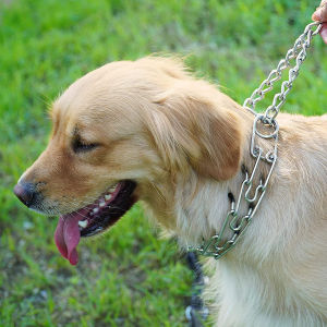 Dog Chain Collar Iron Metal Choke Neck Leash Walking Training Tool Chrome Dog Chain Training Collar