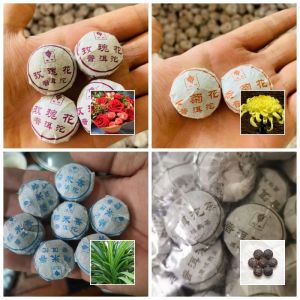 四种口味的域邦普洱茶熟茶菊花 玫瑰 糯米香 Yubang Brand 20pcs Four Flavours Fragrant Puer Chrysanthemum Kekwa Nuo Mi Xiang Rose