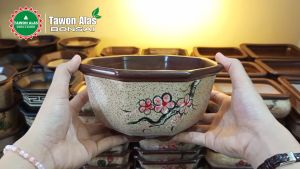 Pot Keramik Segi Delapan: Desain Unik untuk Interior & Tanaman