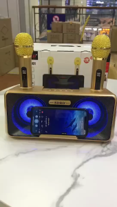 Loa karaoke bluetooth SD 301 kèm 2 micro song ca âm thanh to không vỡ tiếng đèn led