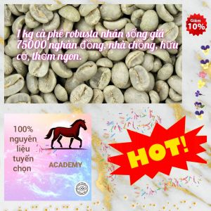 Cà phê robusta nhân sống