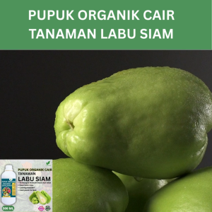 Pupuk Sayur Labu Siam 500 ML /Pupuk Booster Labu Siam Cepat tumbuh Lebat/Pupuk Cair Labu Siam