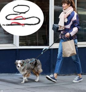 Sport Girdle Elastic Dog Hand Holding Rope Running Dog Leash Walking Dog Retractable Traction-Free Dog Leash Dog Leash Dog Chain