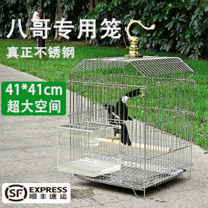 Stainless Steel Extra Large Luxury Bathing Cage for Lovebirds And Parrots Home Use Cosmopolitan Pigeon Bird Cage