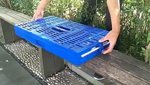 ABS durable Pigeon Foldable Training Box 1-3 capacity of Bird Pigeon Travel Cage