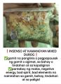 Insenso at kamangyan mixed pantaboy malas sa paligid. 