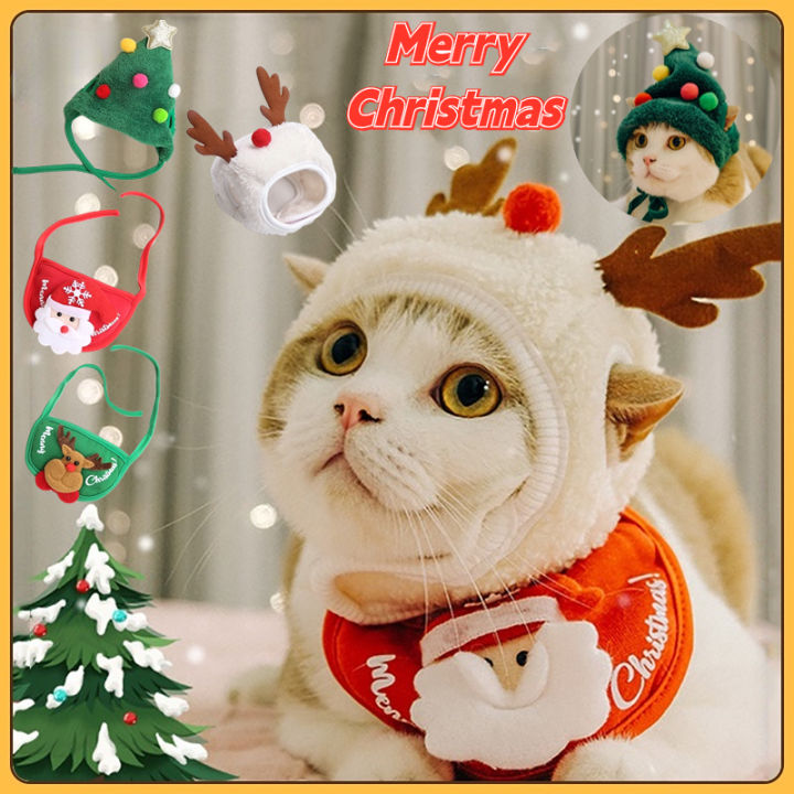 Cat christmas hot sale bandana