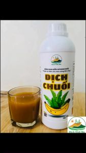 Dịch Chuối MINH KHÔI BIO | Tăng độ ngon ngọt đẹp mã | Hoa ra nhiều sặc sỡ | Dịch chuối hữu cơ | Chai 1 lít can 5 lít