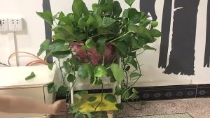 30Pcs Garden Plant Climbing Wall Fixture Clips Plant Fixing Clip