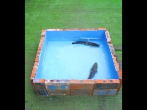 Gooti Super Waterproof Coating & Polyurethane Sealant: A Comprehensive Guide